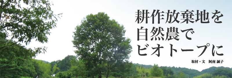 矢田山自然塾耕作放棄地を自然農でビオトープに