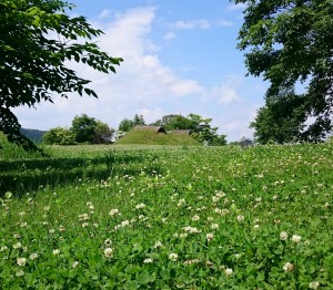 仙台縄文の森広場